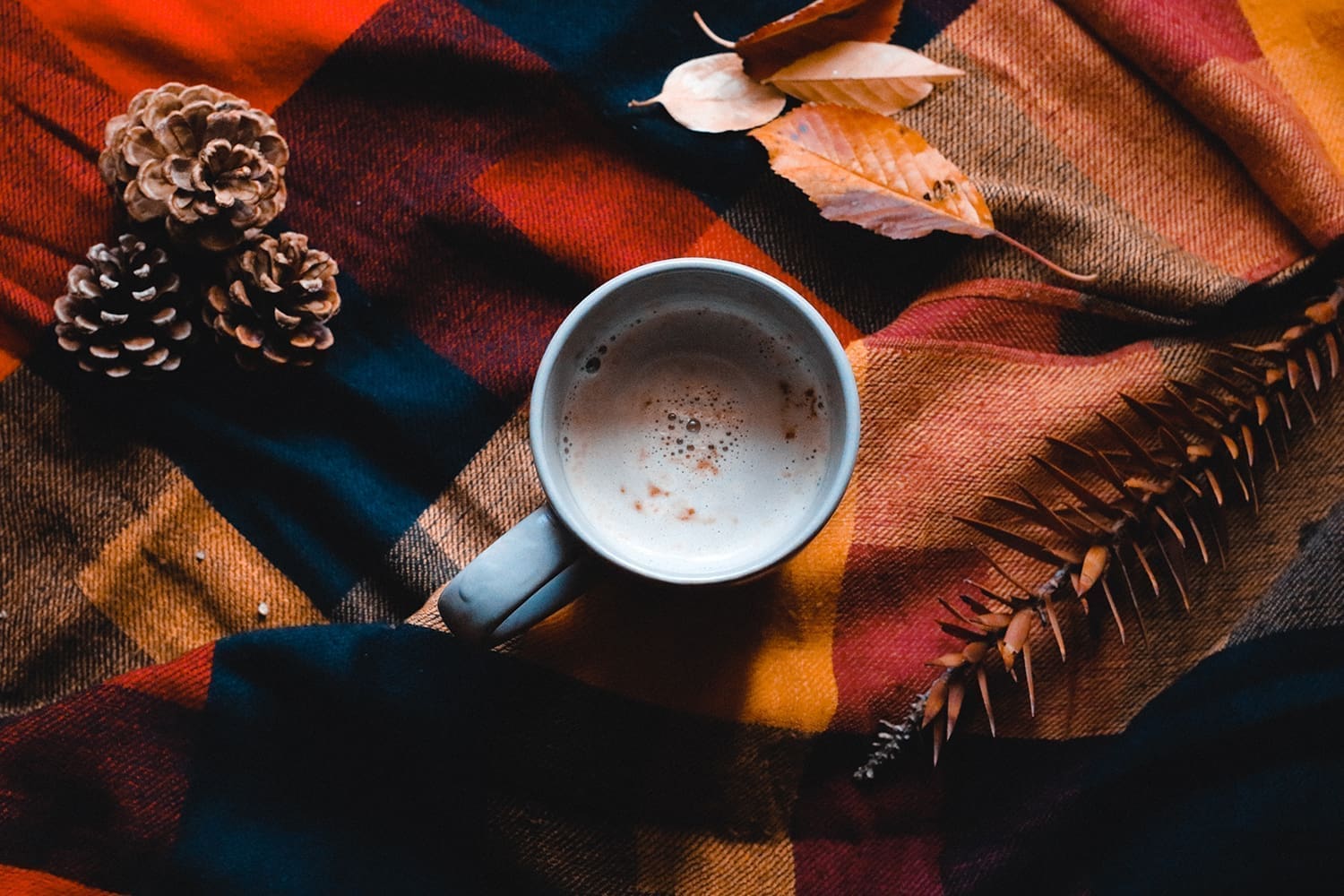 Give Thanks! (For Coffee + Tea + Cider)