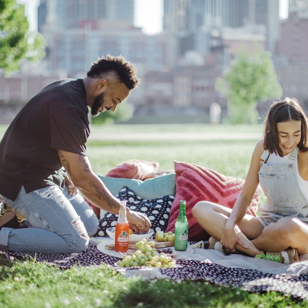 A Picnic in the Park Party