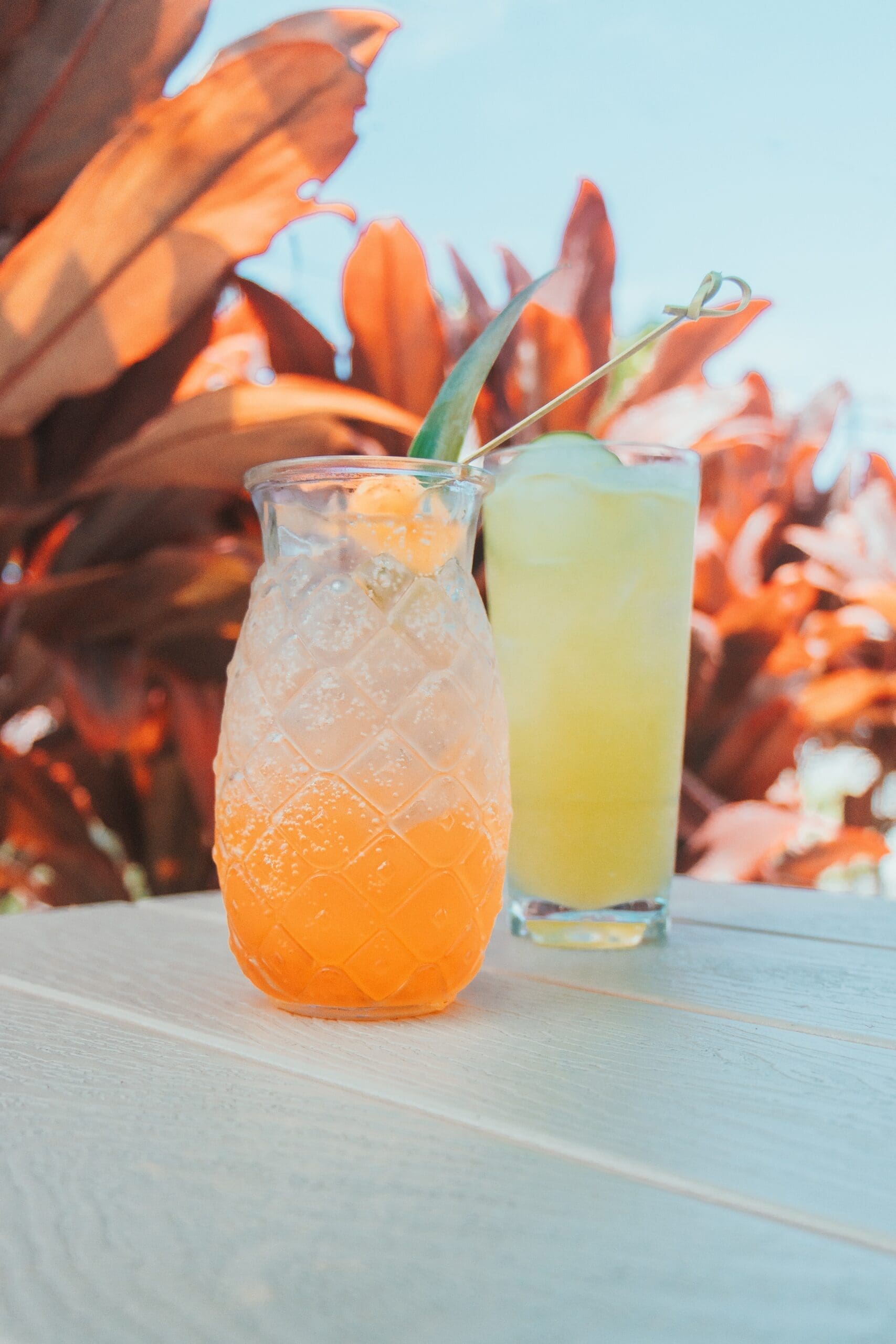 Dry January? No Need to Be Thirsty! 5 Drinks to Serve at January Parties