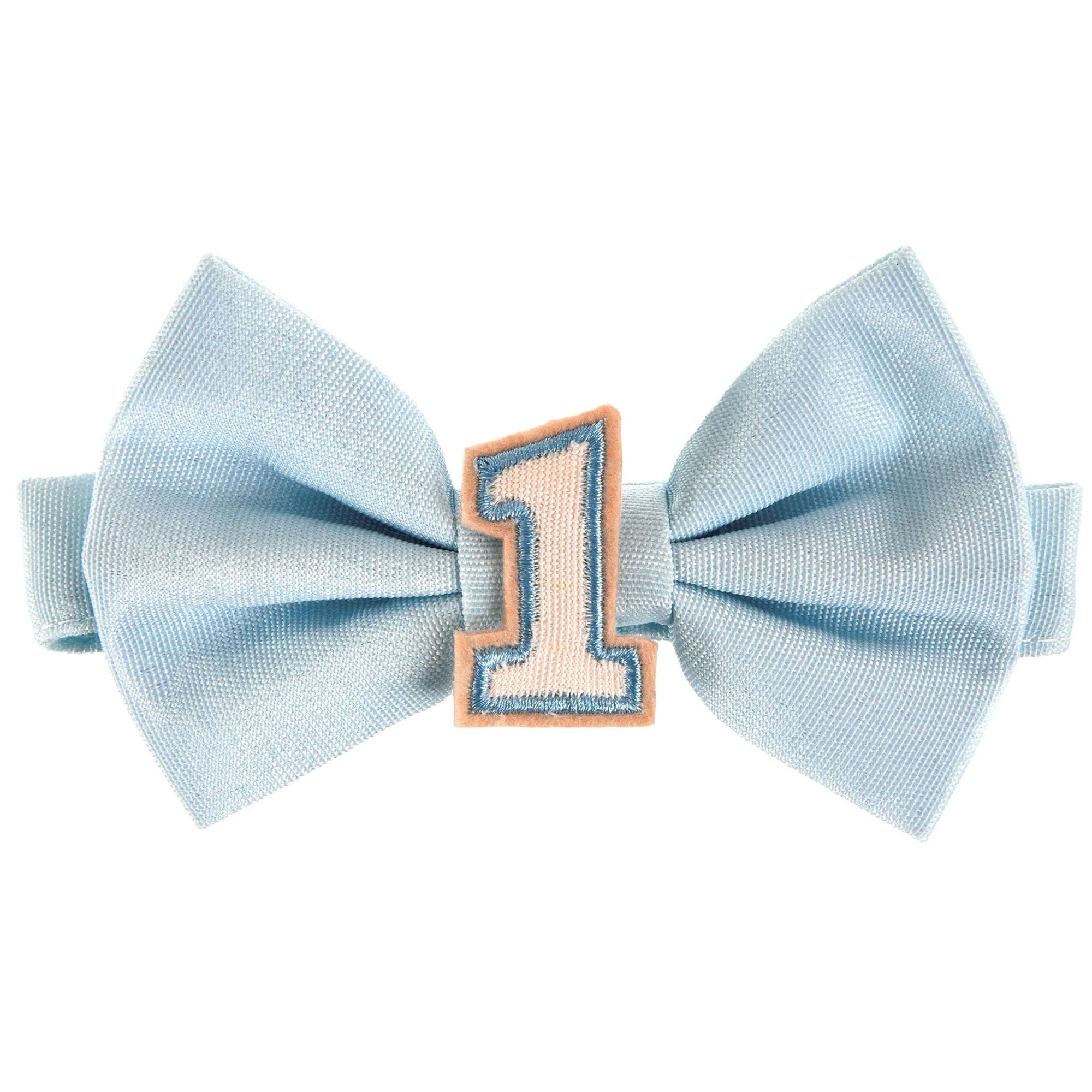 MISTER ONE-DERFUL BOWTIE