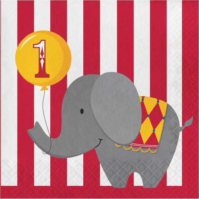 660684 CIRCUS TIME 1ST BDAY LN