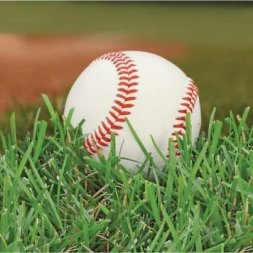 657963 BASEBALL FANATIC BN