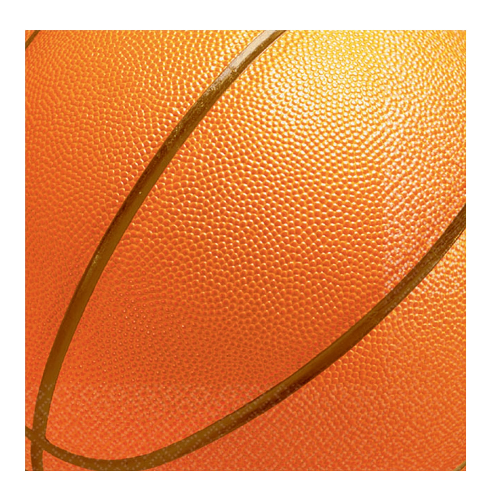 509707 ***BASKETBALL FAN BN