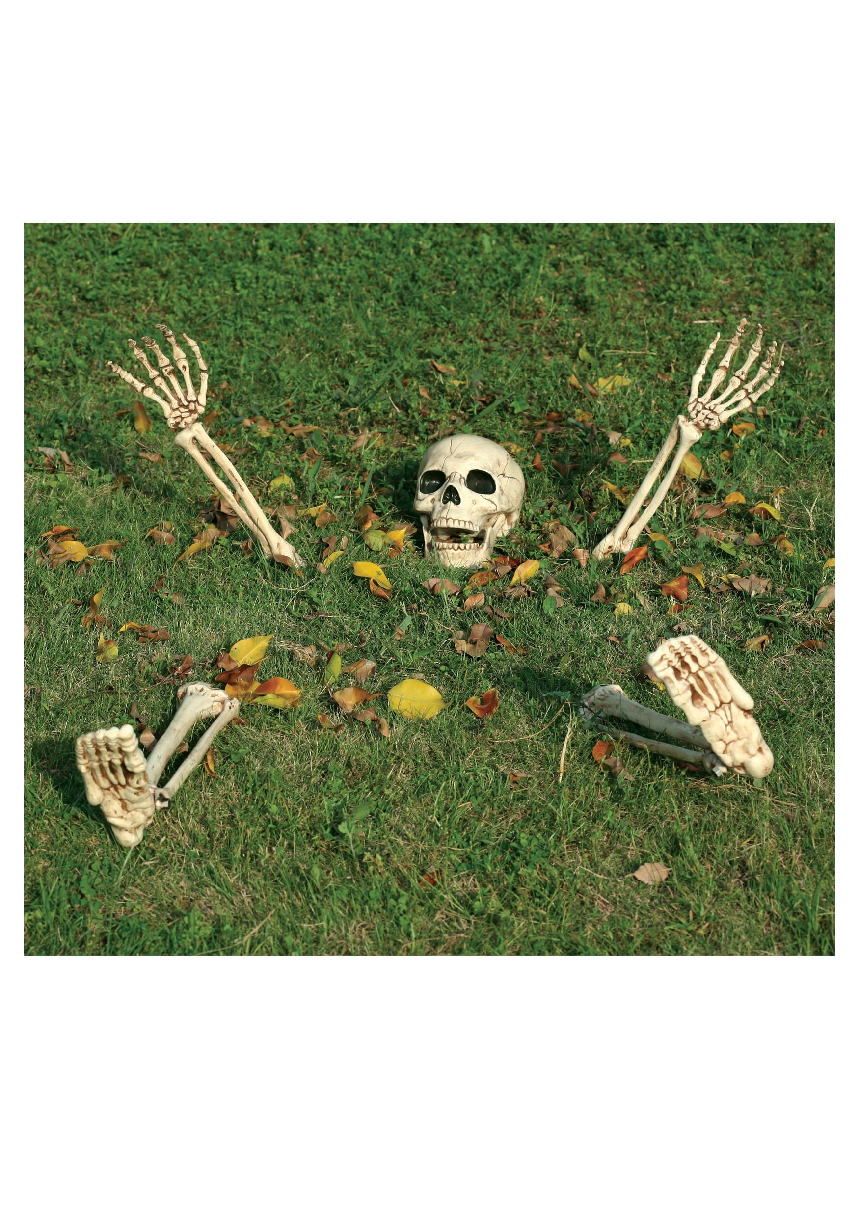BURIED ALIVE SKELETON