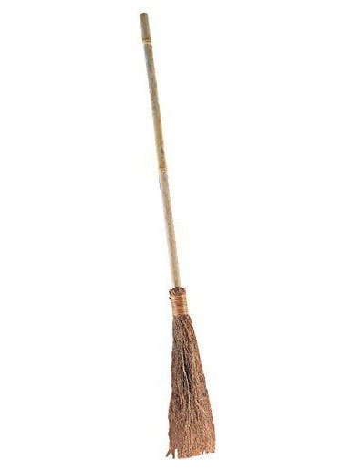 71 WITCH BROOM