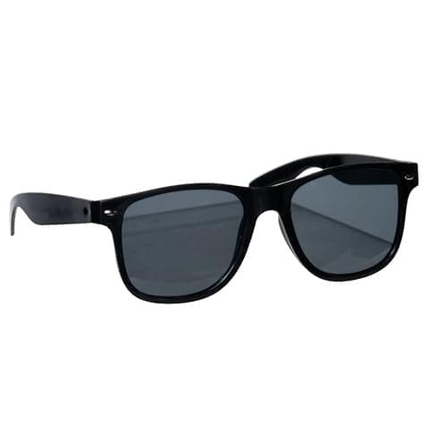 31048 Wayfarer Sunglasses